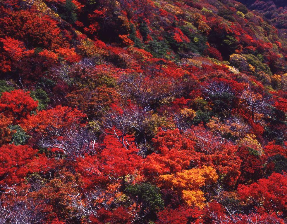 Yumoto Hotel Unzen Exteriör bild